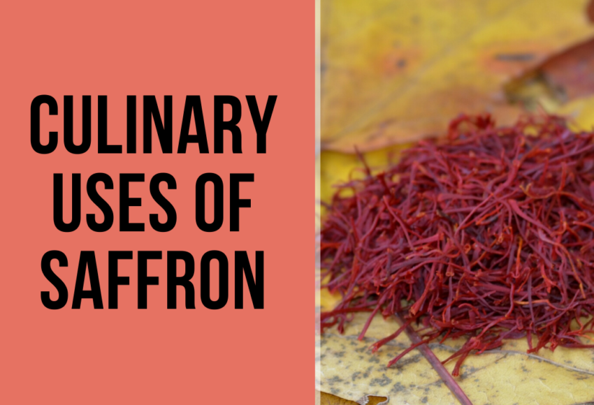 culinary uses of saffron 1