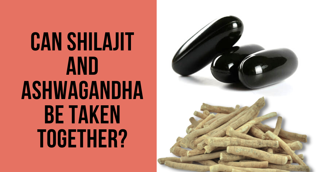 how to consume shilajit 2 1
