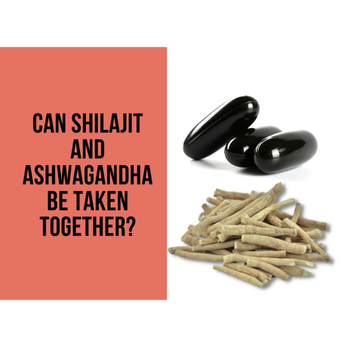 how to consume shilajit 2 1