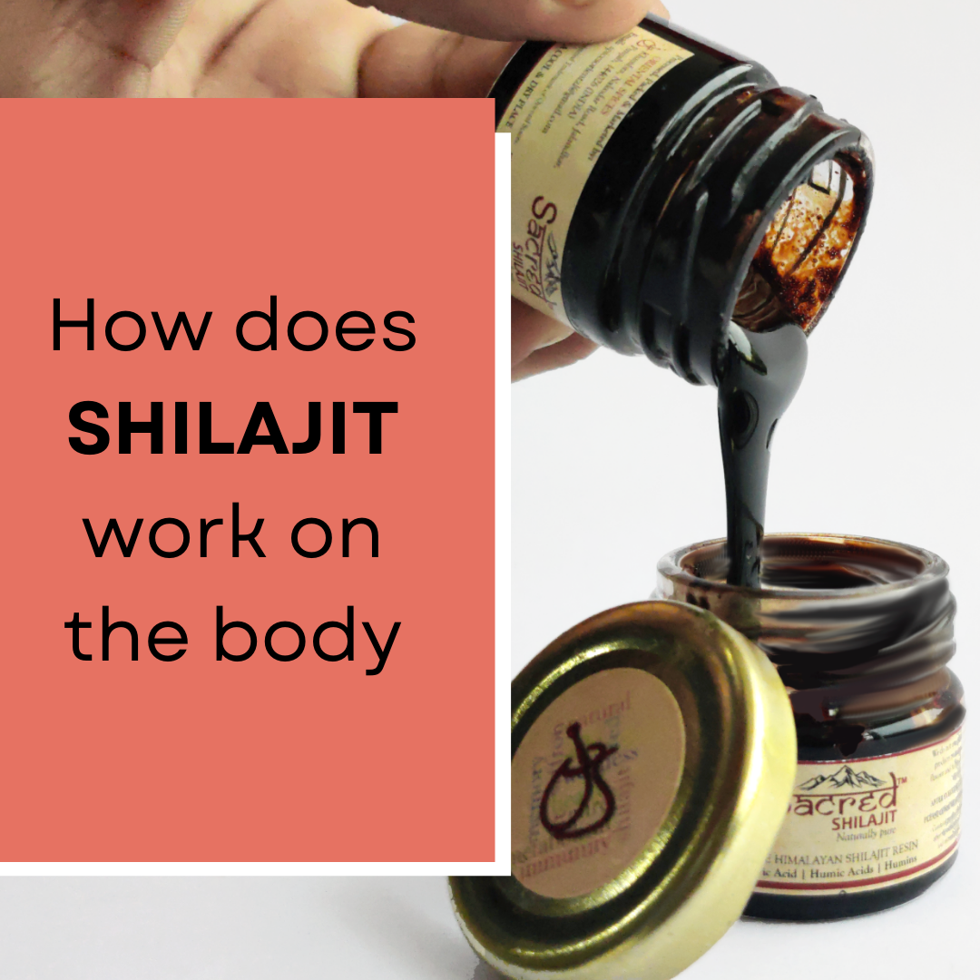 How does Shilajit work on the body? Puri Brother's Global