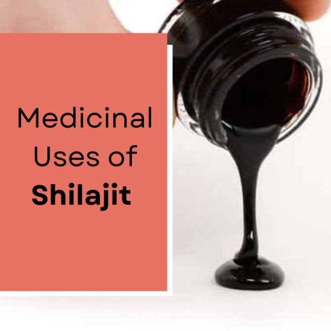 how to consume shilajit 6 1
