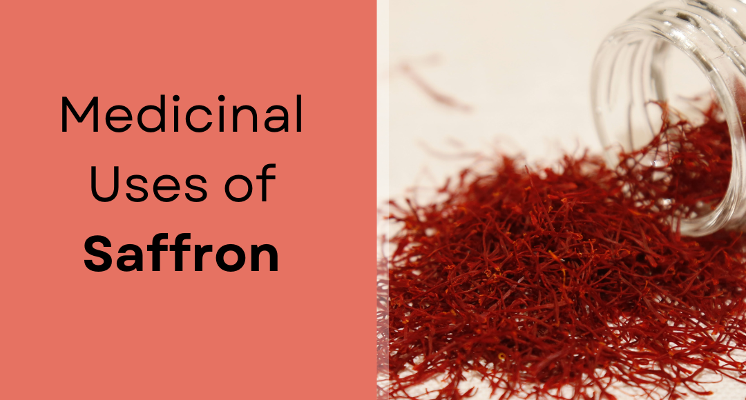 Medicinal Uses of Saffron