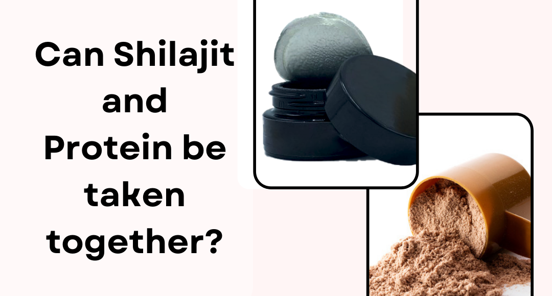 Shilajit: A complete overview - Puri Brother's Global