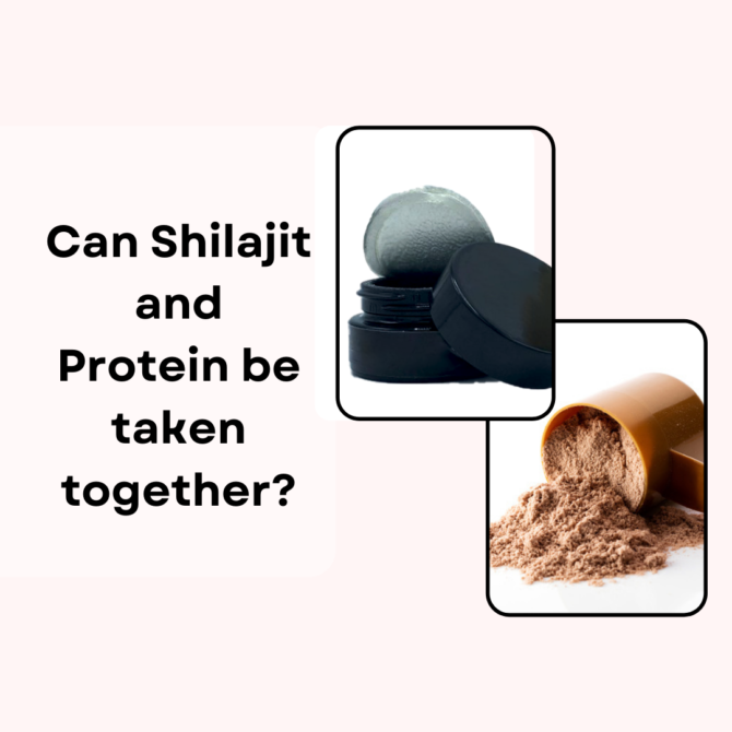 Shilajit and Protein