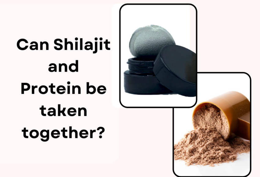 shilajit and protein