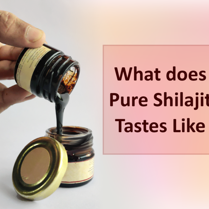 5 Shilajit Taste Blog