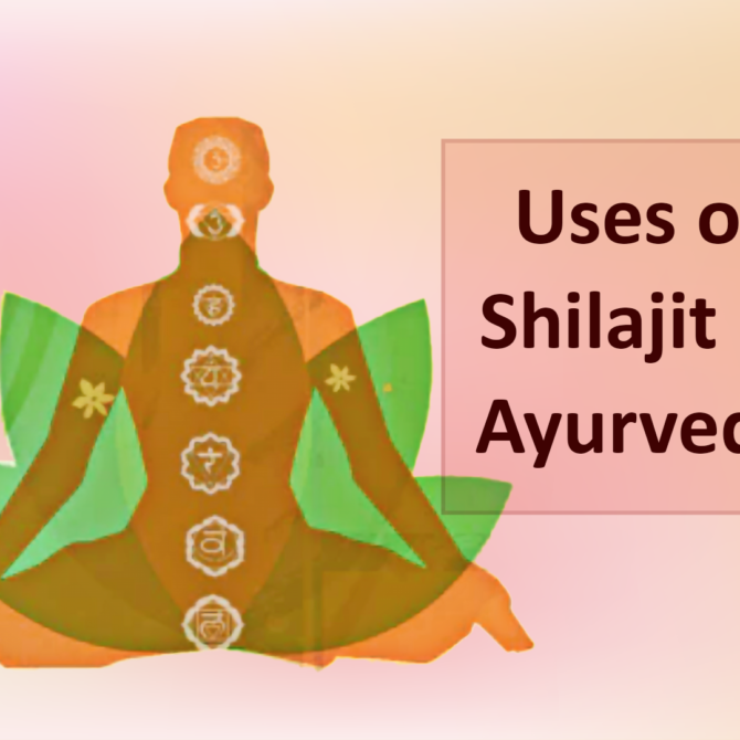 6 Shilajit in Ayurveda Blog