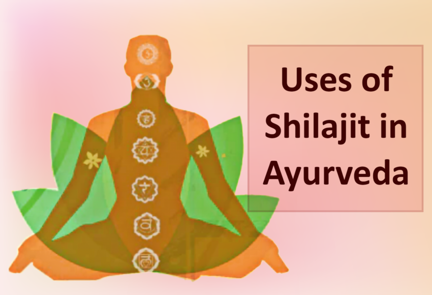 6 Shilajit in Ayurveda Blog