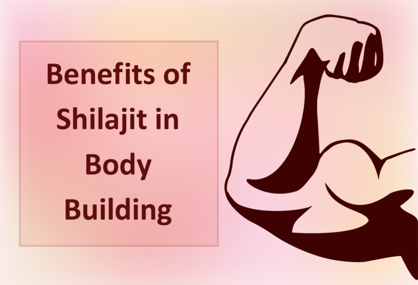 7 Shilajit in Bodybuilding Blog
