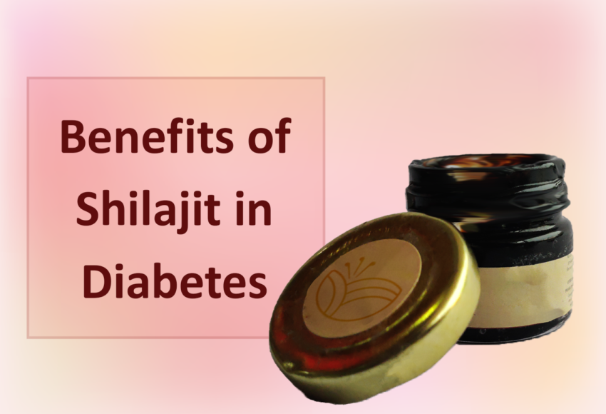 8 Shilajit in Diabetes Blog